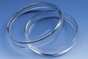 BR455742, (DIAM)100mm*(H)15mm, GLASS